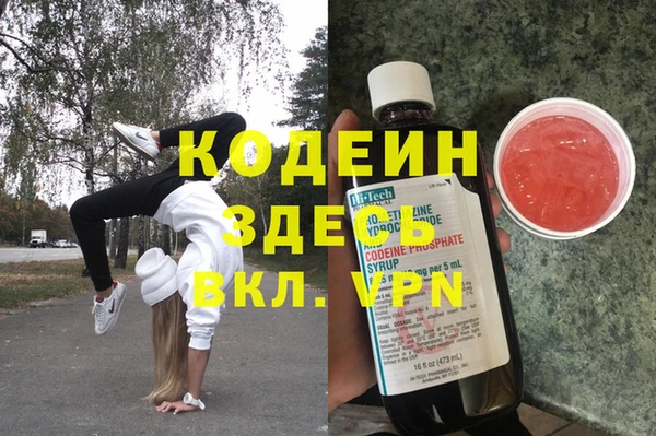 эйфоретик Алзамай