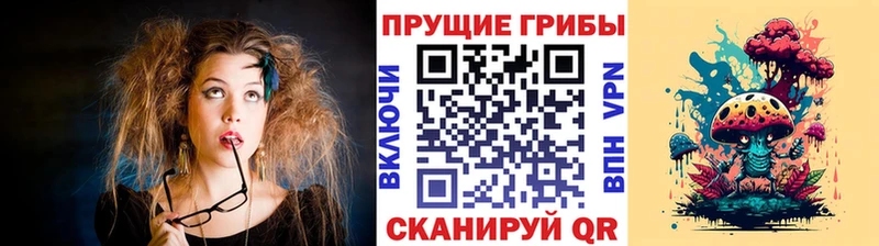 Псилоцибиновые грибы мицелий  сколько стоит  блэк спрут рабочий сайт  Дзержинский 